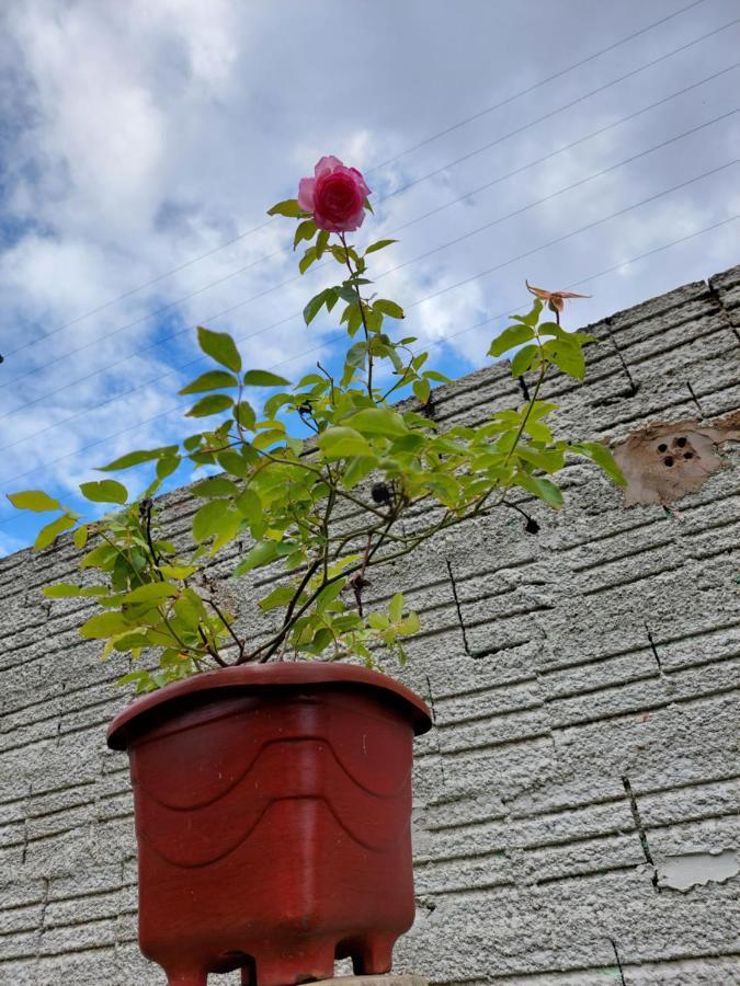 Pousada Luar Chapada dos Guimarães Екстериор снимка